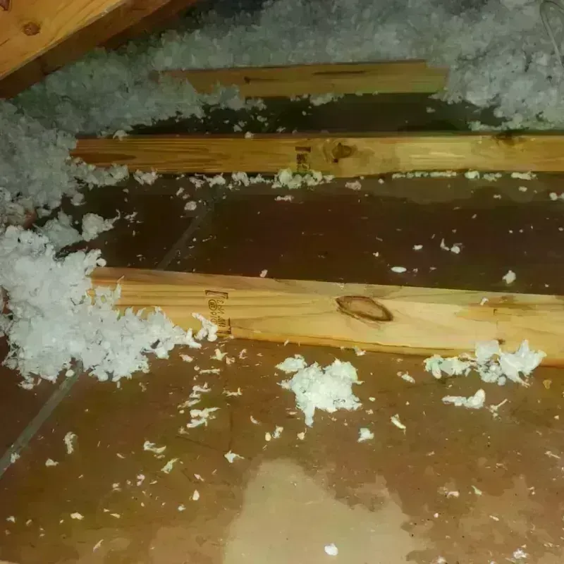 Attic Water Damage in Narragansett Pier, RI